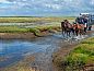 Guest house 0310124 • Holiday property Terschelling • Wadhuske  • 4 of 23