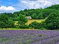 Verblijf 0492123 • Vakantiewoning Midi / Pyrenees • Huisje in Lauzerte  • 1 van 26