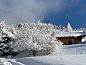 Guest house 050100004 • Chalet Rhone-Alphes • Vakantiehuis in La Morte  • 1 of 26