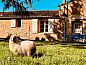 Guest house 05440501 • Holiday property Aquitaine • Huisje in Capdrot  • 1 of 26