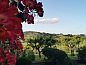 Guest house 095135803 • Holiday property Tuscany / Elba • Huisje in CERTANO  • 2 of 8