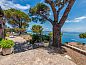 Verblijf 09554702 • Vakantiewoning Toscane / Elba • Vakantiehuis Sole  • 6 van 26