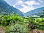 Verblijf 1835001 • Appartement Ticino / Tessin • Appartement Nelly  • 11 van 17