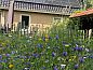 Guest house 231603 • Holiday property Friese bossen • Vakantiehuisje in Hoornsterzwaag  • 3 of 26