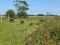 Verblijf 267801 • Bijzondere overnachtingen Het Friese platteland • boerderij Skieppereed  • 7 van 8