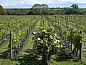 Unterkunft 3906703 • Ferienhaus Wales • Glyndwr Vineyard  • 12 von 26