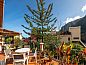 Verblijf 4513203 • Bed and breakfast Madeira • Casa Das Videiras  • 4 van 26