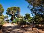 Verblijf 5220522 • Vakantiewoning Ibiza • Hostal Cala Boix  • 6 van 26