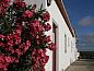 Verblijf 5813403 • Vakantiewoning Alentejo • Monte Da Morena Agro-Turismo  • 6 van 26