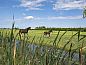 Verblijf 671805 • Vakantiewoning Groene hart • 4-persoons vakantiehuis op het platteland in Rijpwetering,  • 4 van 18