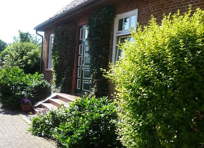 Unterkunft 01937802 • Ferienhaus Niedersachsen • Vakantiehuis in Neu Bleckede 