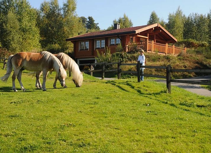 Verblijf 02624301 • Vakantiewoning Noordrijn-Westfalen • Vakantiehuisje in Arnsberg 