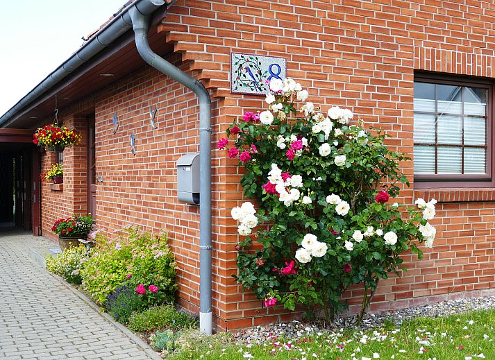 Verblijf 03021503 • Appartement Oostzee • Schwalbenring nahe Karls Erdbeerhof 