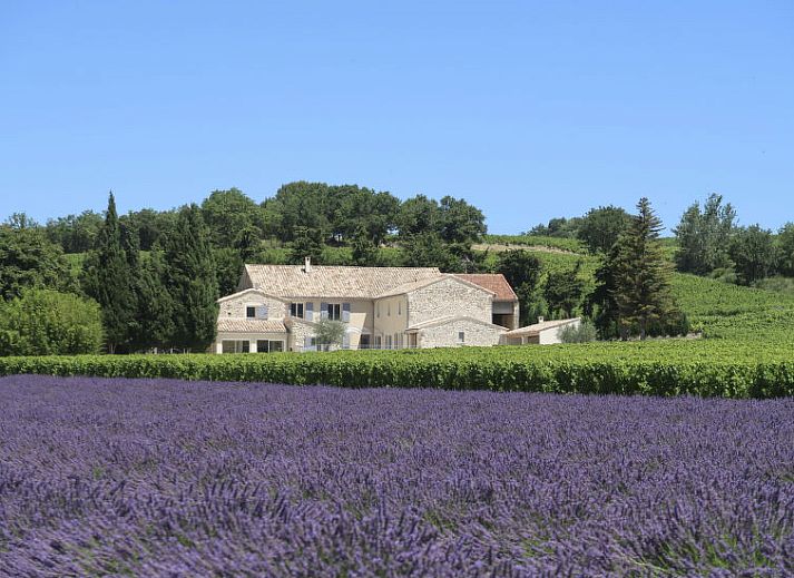 Unterkunft 048186905 • Ferienhaus Provence / Cote d'Azur • Vakantiehuis La Machotte 