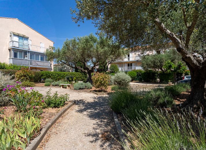 Guest house 04885706 • Apartment Provence / Cote d'Azur • Appartement Les Lavandes 