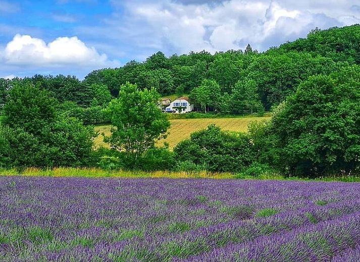 Verblijf 0492123 • Vakantiewoning Midi / Pyrenees • Huisje in Lauzerte 