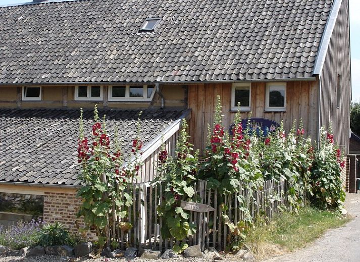 Guest house 053001 • Holiday property Limburg • hoeve de vrijheerlijkheid 