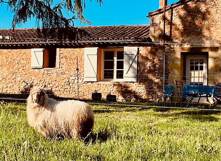 Guest house 05440501 • Holiday property Aquitaine • Huisje in Capdrot 