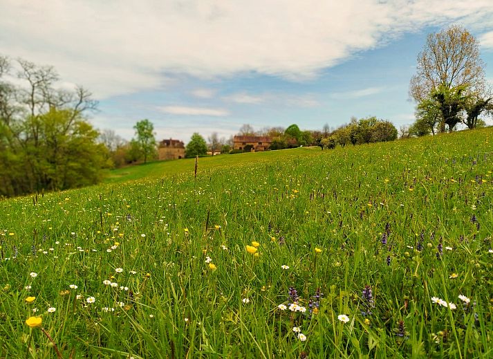 Verblijf 05485801 • Vakantiewoning Aquitaine • Boussaguel 