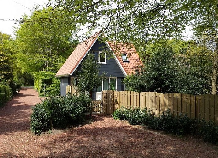 Guest house 060808 • Holiday property Friese bossen • Vakantiehuisje Gaasterland Oudemirdum 