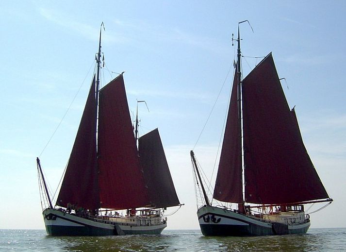 Unterkunft 061301 •  Sneekermeer • Klipper De Hoop 