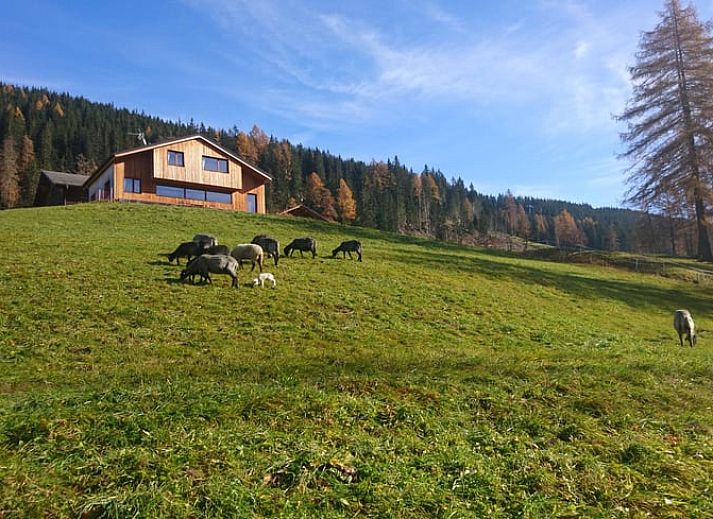 Verblijf 0864901 • Vakantiewoning Tretino / Zuid-Tirol • Huisje in Sexten / Moos 