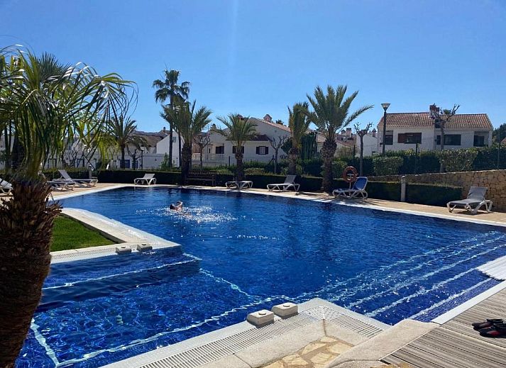 Guest house 1014903 • Apartment Costa Blanca • Alfaz del Sol 