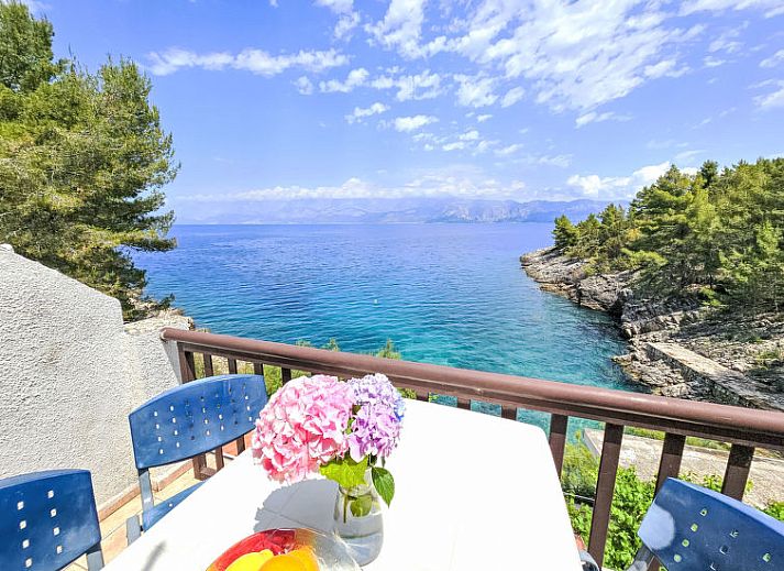 Guest house 10316802 • Apartment Dalmatia • Appartement Octopus 