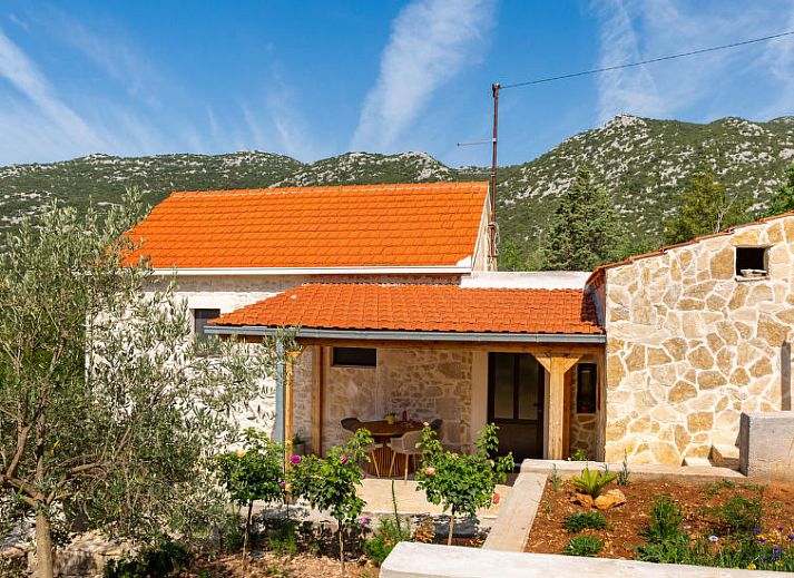 Guest house 10338102 • Holiday property Dalmatia • Vakantiehuis Mare 