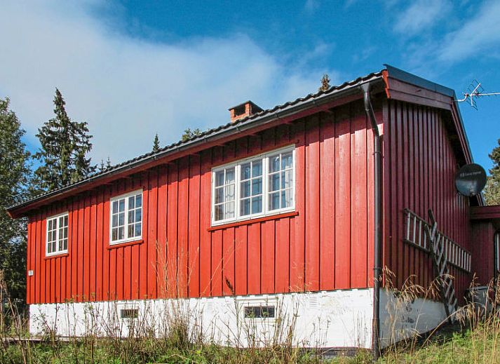 Unterkunft 10713001 • Ferienhaus Ost-Norwegen • Vakantiehuis Skeisvegen 