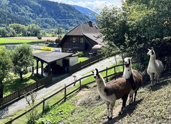 Verblijf 1153401 • Vakantiewoning Steiermark • Vakantiehuis Lama 