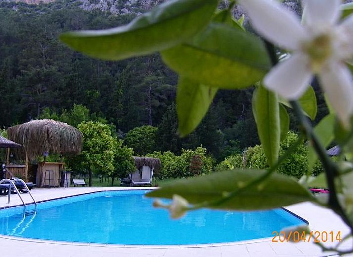 Guest house 1316664 • Holiday property Mediterranean region • Portalimo Lodge Hotel - Adult Only +12 