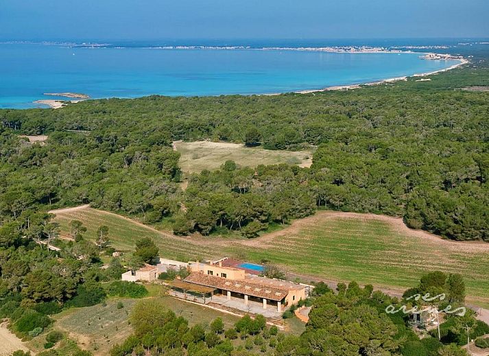 Unterkunft 13416004 • Ferienhaus Mallorca • Agroturismo Ses Arenes 