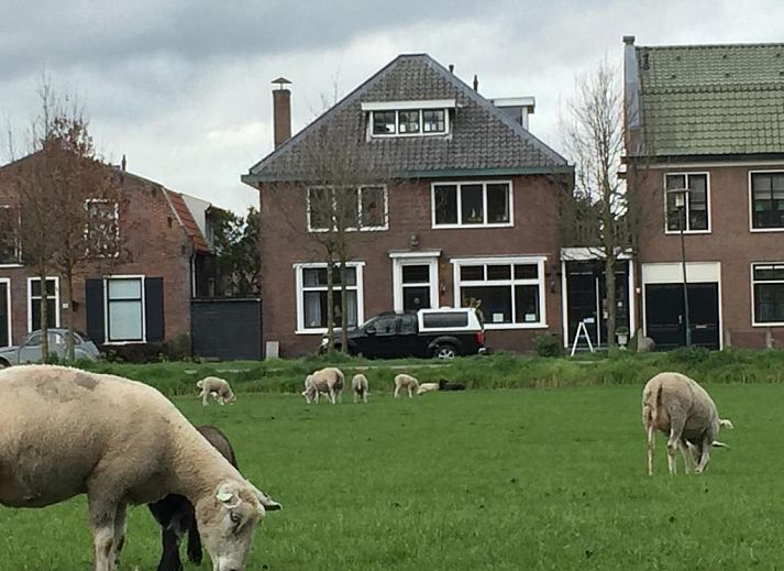 Verblijf 135002 • Bed and breakfast Noord-Holland zuid • Art+bed and breakfast 