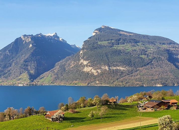 Verblijf 1804602 • Appartement Berner Oberland • Appartement Panoramaferienwohnung Waldkircher 