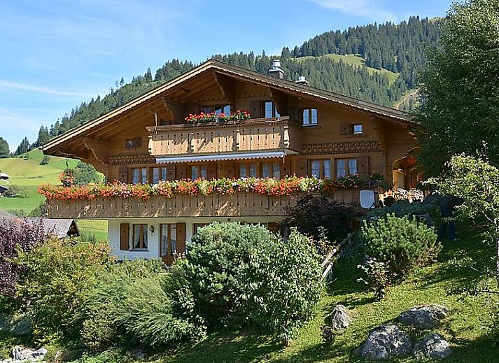 Guest house 1805208 • Apartment Berner Oberland • Appartement Alegria (Parterre) 