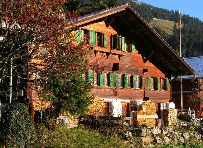 Verblijf 1806301 • Appartement Berner Oberland • Appartement Auf der Mauer 