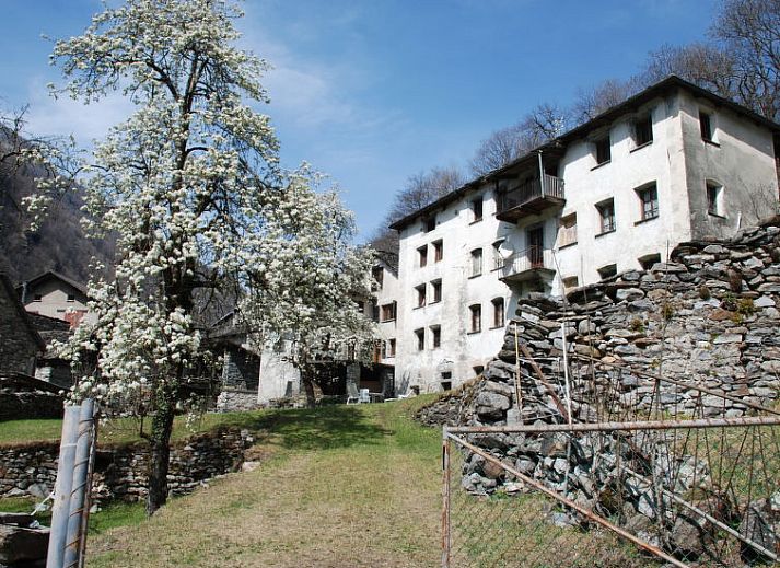 Verblijf 18311701 • Vakantiewoning Ticino / Tessin • Vakantiehuis Signorile 