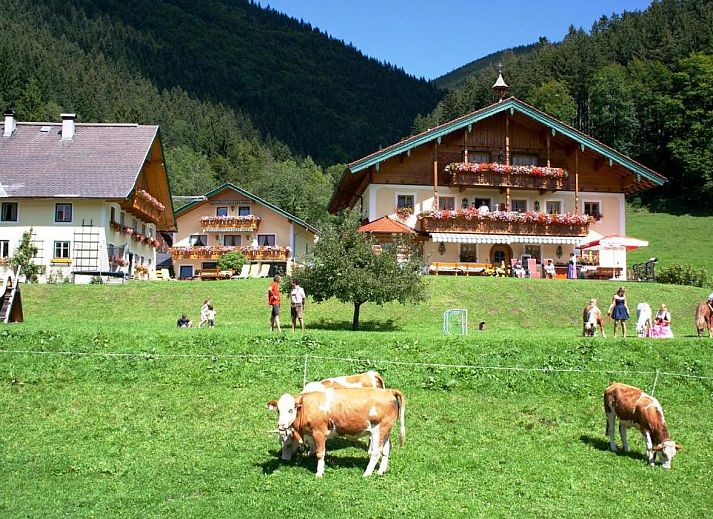 Unterkunft 20411310 • Appartement Salzburgerland • Am Ferienbauernhof Schmiedbauer com Salzkammergut 