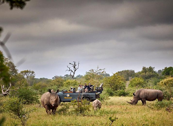 Verblijf 3026803 • Vakantiewoning Mpumalanga (Kruger Park) • Motswari Private Game Reserve 