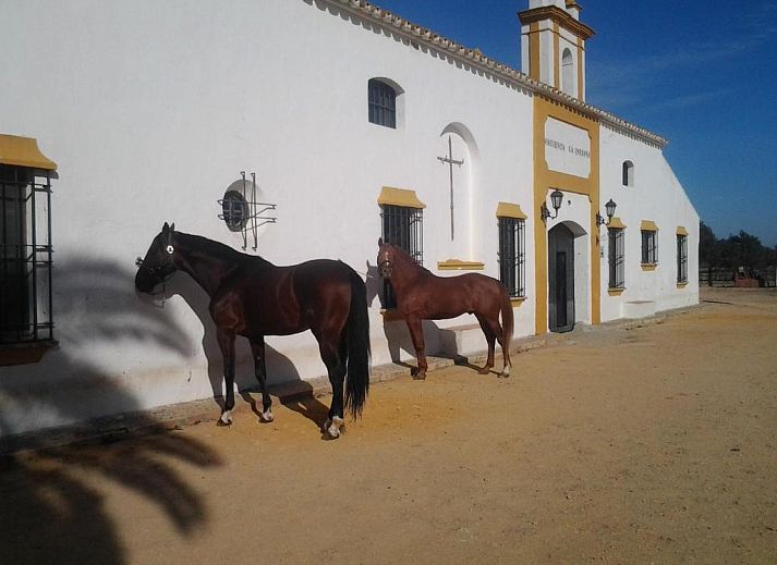 Verblijf 34714105 • Vakantiewoning Andalusie • Hacienda La Indiana 