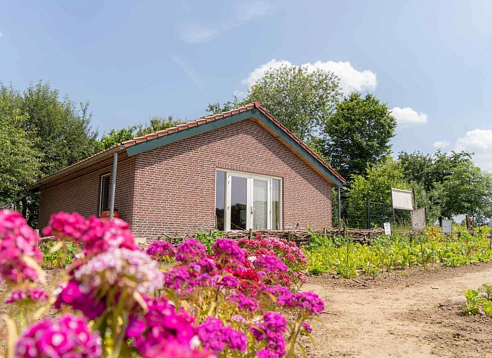 Verblijf 384607 • Vakantiewoning Noord Limburg • Natuurrijk gelegen 5 persoons vakantiehuis nabij het bos en 