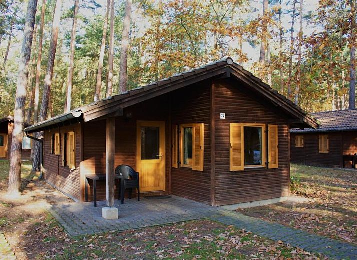 Guest house 3920101 • Holiday property Saxony-Anhalt • Heide-Camp Colbitz 