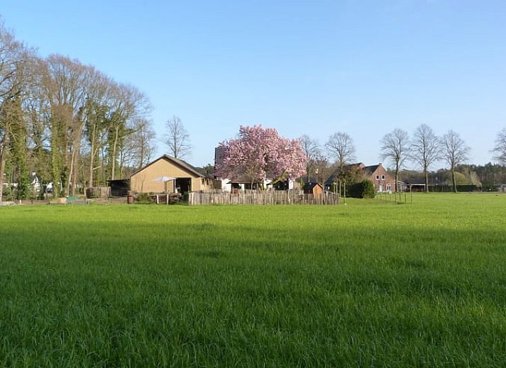 Verblijf 413803 • Vakantiewoning Kempen • Vakantiehuisje in Knegsel 