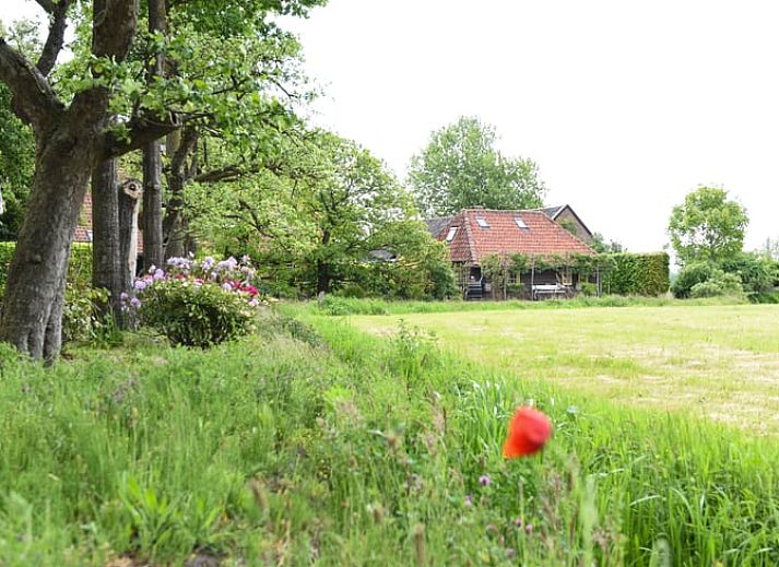 Unterkunft 426801 • Ferienhaus Hart van Brabant • Huisje in Esch 