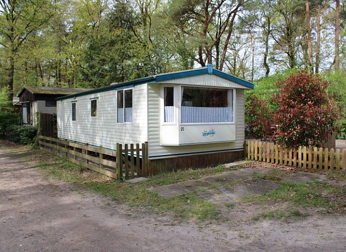 Verblijf 540165 • Chalet Vechtstreek • Vintage Forest Chalet  