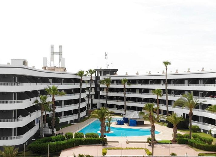 Guest house 6014901 • Apartment Costa Blanca • Palmera Beach 