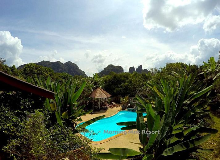 Guest house 8930805 • Apartment Southern thailand • Khao Sok Morning Mist Resort 