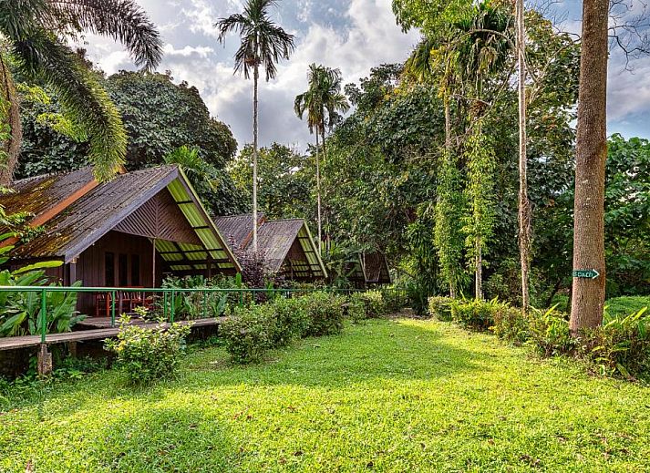 Guest house 8930825 • Holiday property Southern thailand • Khaosok Riverside Cottages - SHA Certified 