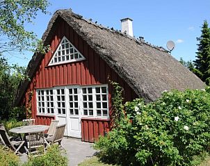 Guest house 0151442 • Holiday property Southern Denmark • Vakantiehuis "Kalv" - 75m from the sea 